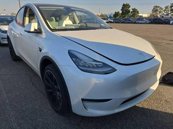 TESLA MODEL Y 2022 7SAYGDEE3NF402861 image